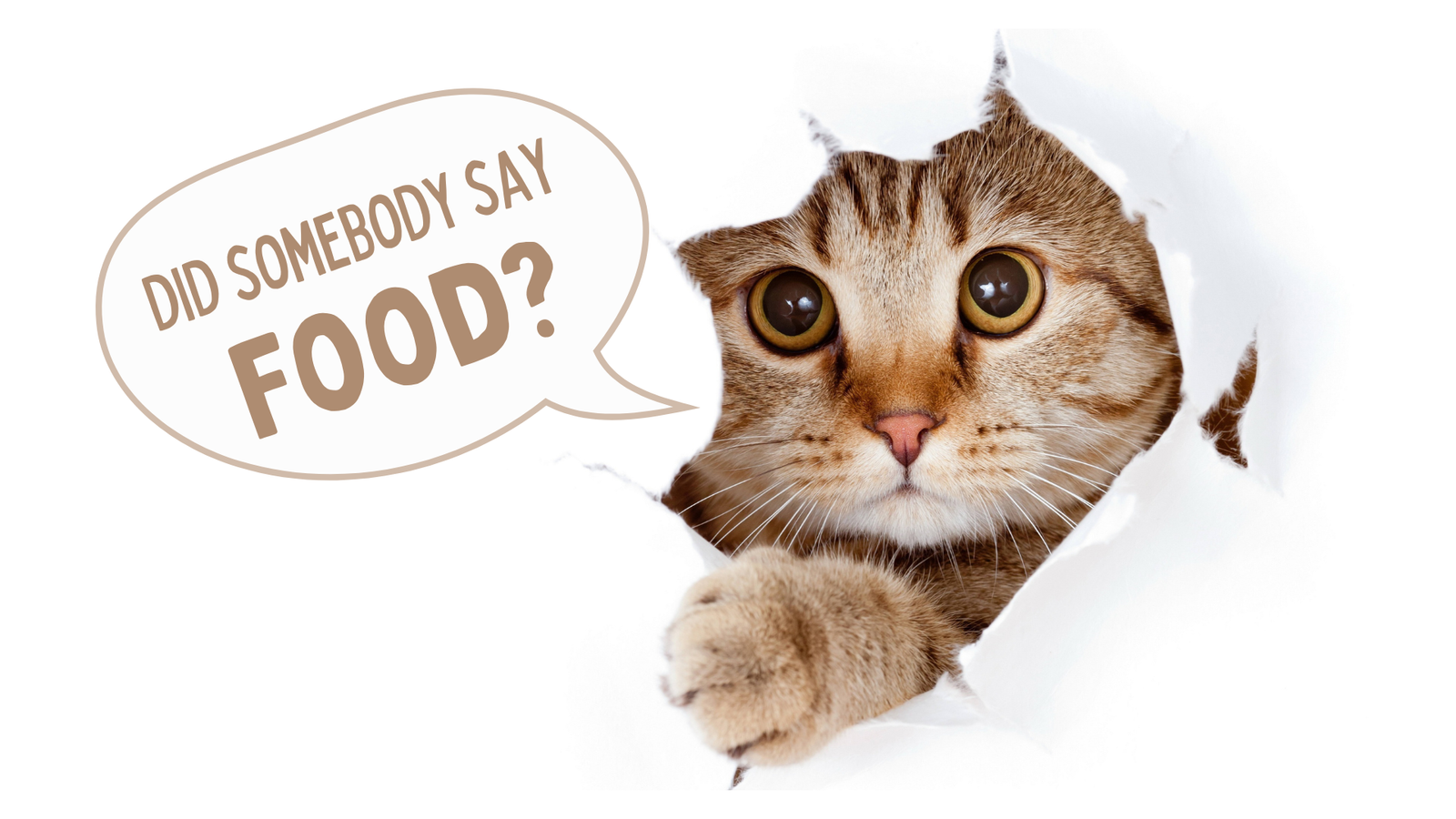 Did somebody say Food